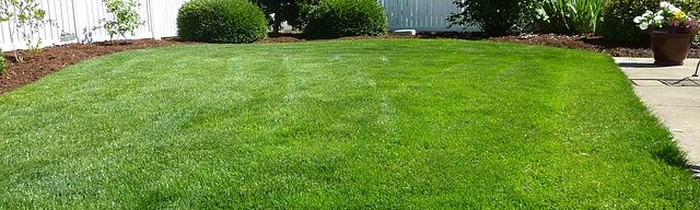 Tips for Staging Your Yard To Sell Your Home Tips for Staging Your Yard To Sell Your Home
